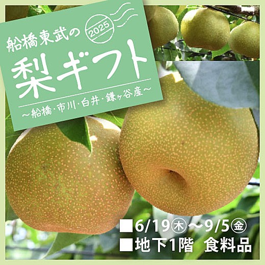 ＜予告＞2025 船橋東武の梨ギフト