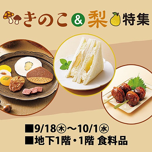 きのこ&梨特集