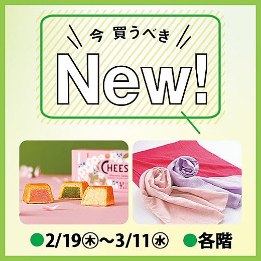 今買うべきNew！