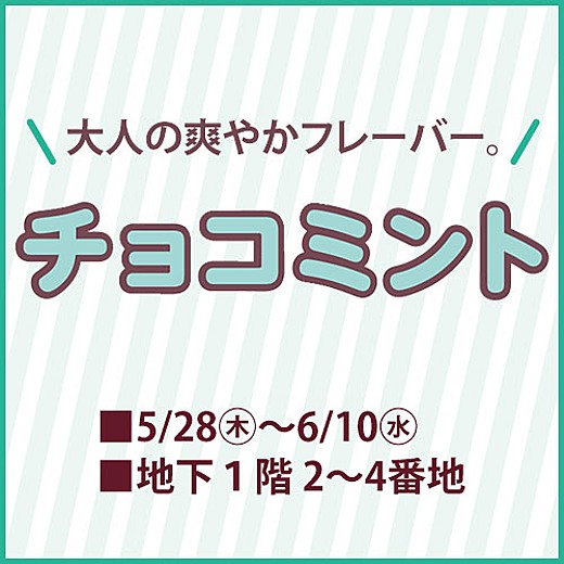 チョコミント特集