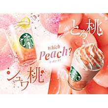 ※画像はイメージです。