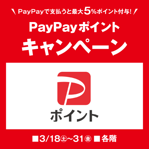 PayPayポイントキャンペーン