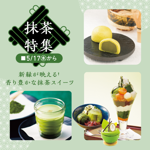 抹茶特集