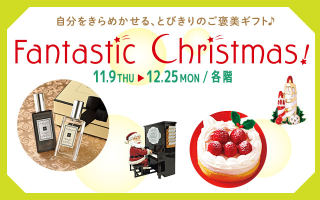 Fantastic Christmas!