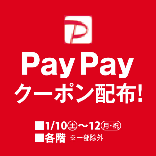 PayPayクーポン配布！