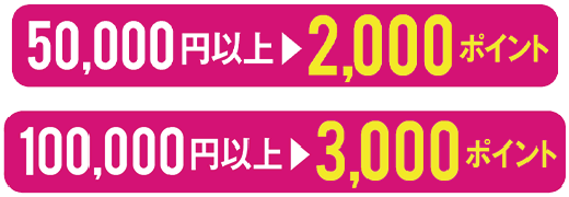 50,000円以上▶2,000ポイント 100,000円以上▶3,000ポイント