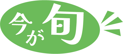 今が旬！