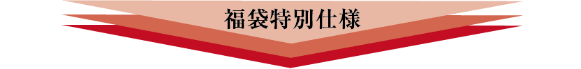 福袋特別仕様