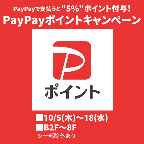 PayPayポイントキャンペーン