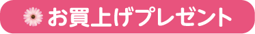 お買上げプレゼント